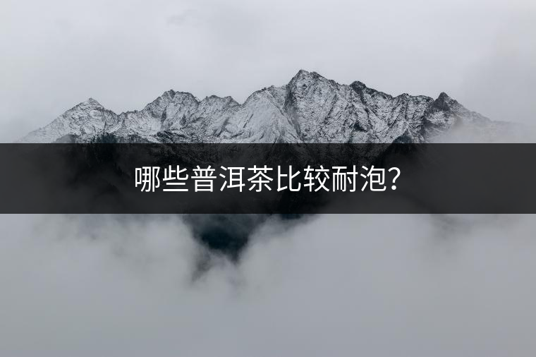 哪些普洱茶比較耐泡？