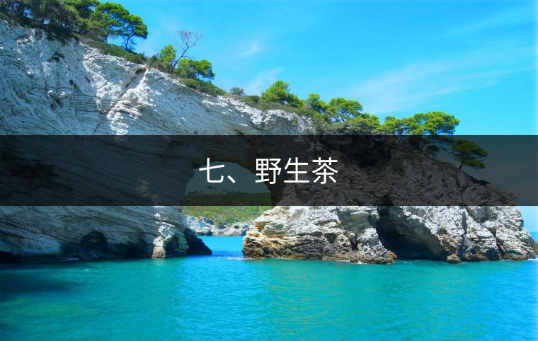 七、野生茶