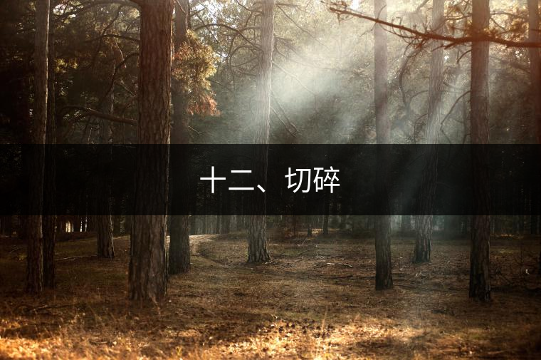 十二、切碎