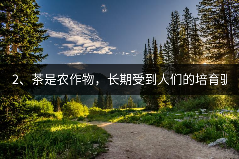 2、茶是農(nóng)作物，長期受到人們的培育馴化。