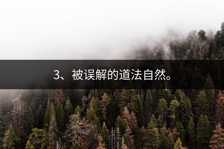 3、被誤解的道法自然。