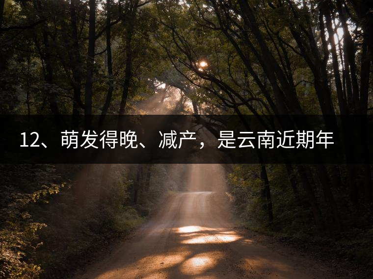 12、萌發(fā)得晚、減產(chǎn)，是云南近期年氣候變化在茶樹上的延遲反映。