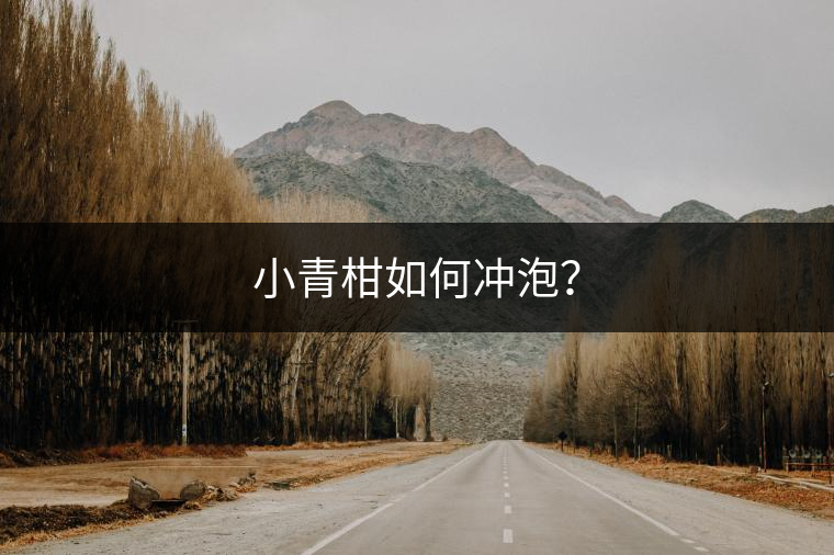 小青柑如何沖泡？