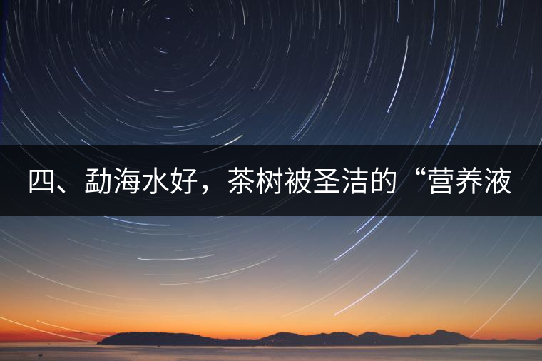 四、勐海水好，茶樹被圣潔的“營養(yǎng)液”所滋養(yǎng)