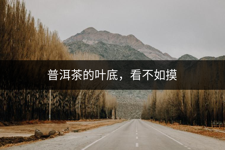 普洱茶的葉底，看不如摸