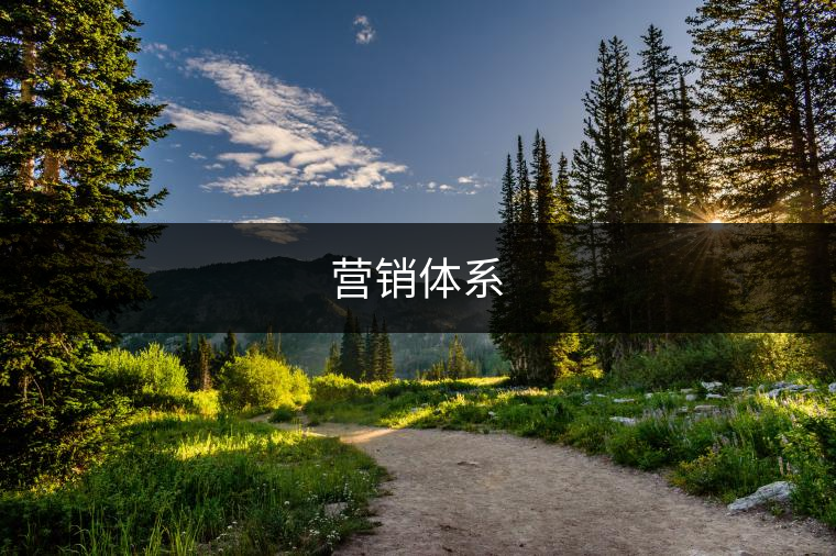 營(yíng)銷(xiāo)體系 營(yíng)銷(xiāo)體系