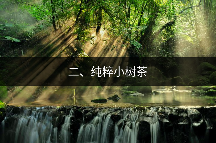 二、純粹小樹茶