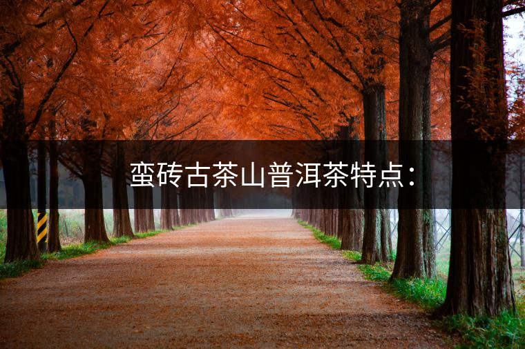 ?? 蠻磚古茶山普洱茶特點(diǎn): ?? 蠻磚古茶山普洱茶特點(diǎn):