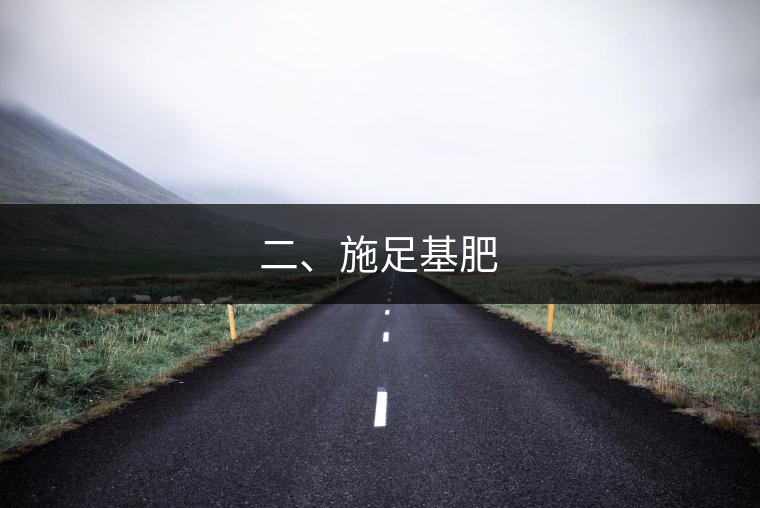 二、施足基肥