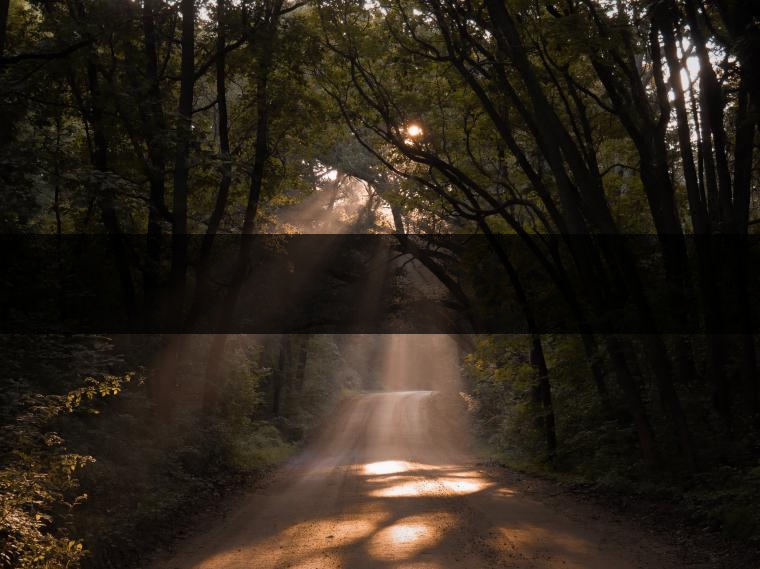 那卡茶的歷史 那卡茶的歷史