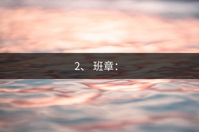 2、 班章：?