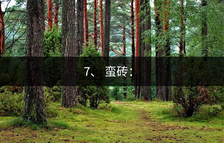 7、 蠻磚：?