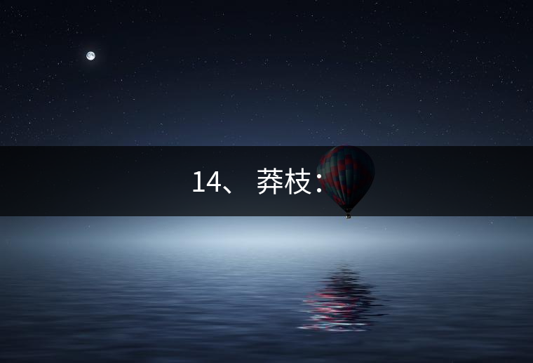 14、 莽枝：?