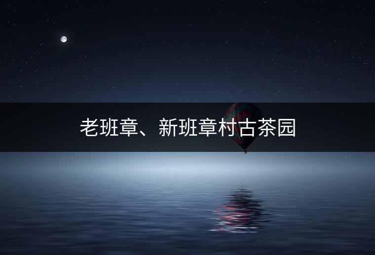 老班章、新班章村古茶園