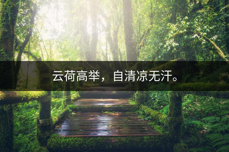 云荷高舉，自清涼無汗。