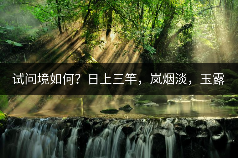試問境如何？日上三竿，嵐煙淡，玉露光轉(zhuǎn)。
