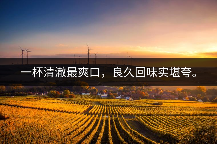 若能一日車船至，從此美名滿天涯。