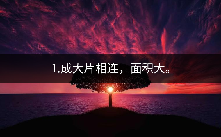 1.成大片相連，面積大。