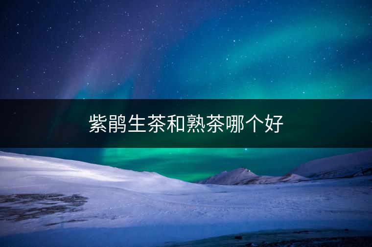 紫鵑生茶和熟茶哪個(gè)好