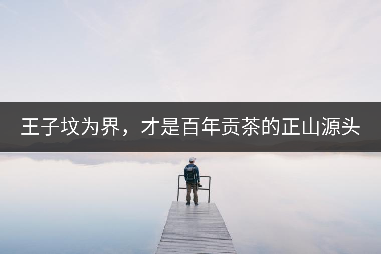 王子墳為界，才是百年貢茶的正山源頭