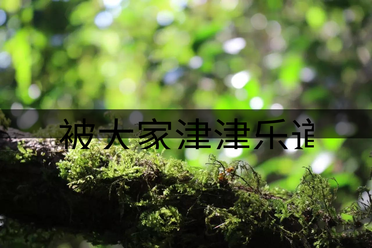 被大家津津樂道的森林茶，你知道是什么？-8-1