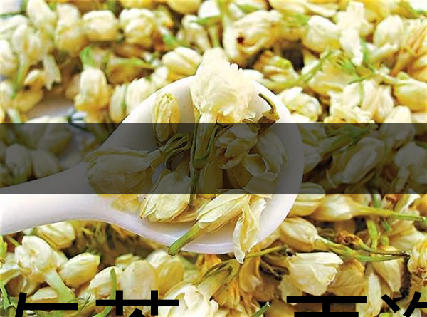 花與茶，再造茉莉之都——福州-1