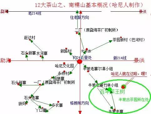 南糯山名寨半坡老寨普洱茶介紹