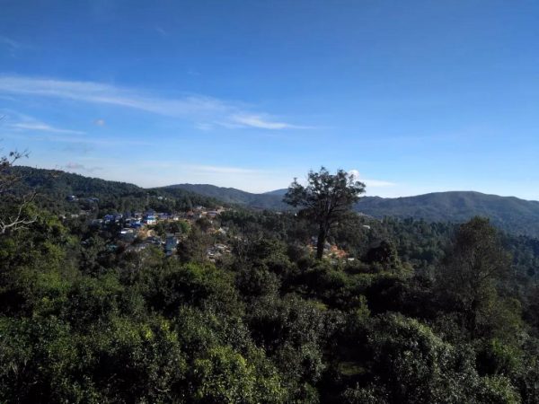 蘭香賀開(kāi)，甘甜賀開(kāi)