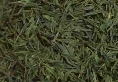 什么是海青茶？沖泡手法詳細(xì)教學(xué)！