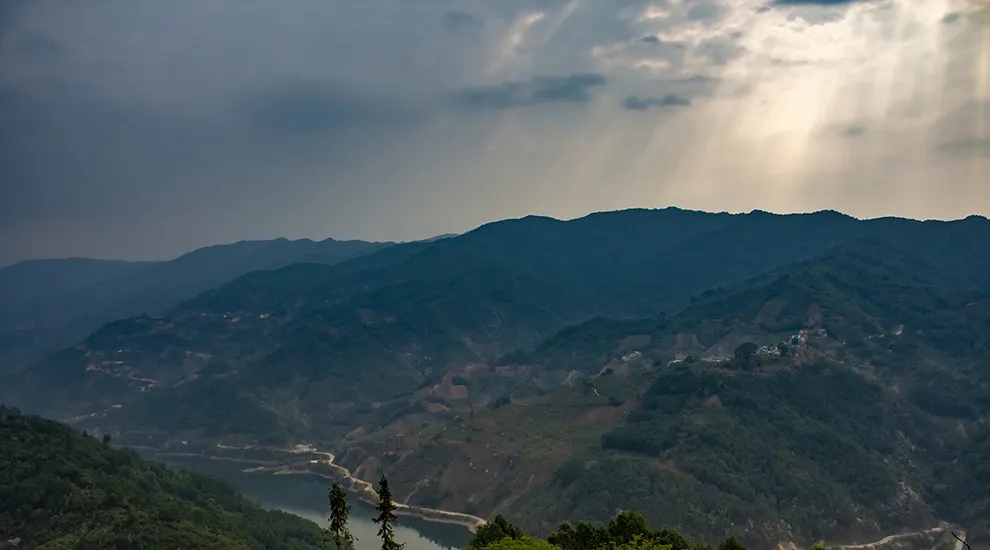 2021年磨烈：風(fēng)頭正勁的后起之秀，到底有何特點(diǎn)？