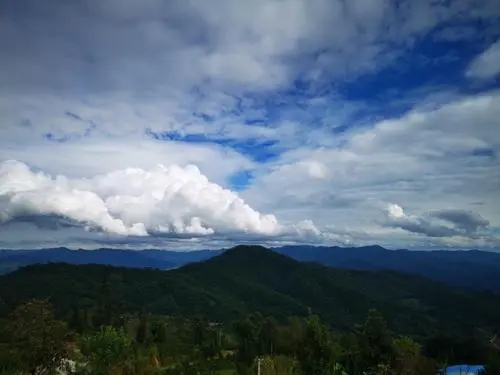 2021年那罕古樹(shù)秋茶口感？