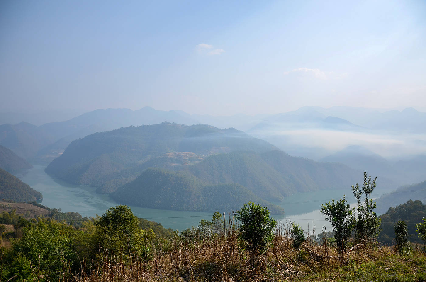 2021年白鶯山古樹秋茶，佛茶有什么魅力？