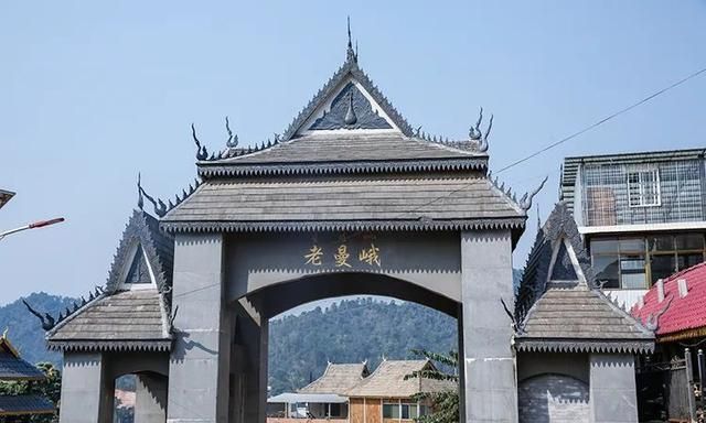 2021年老曼峨古樹秋茶特點(diǎn)？