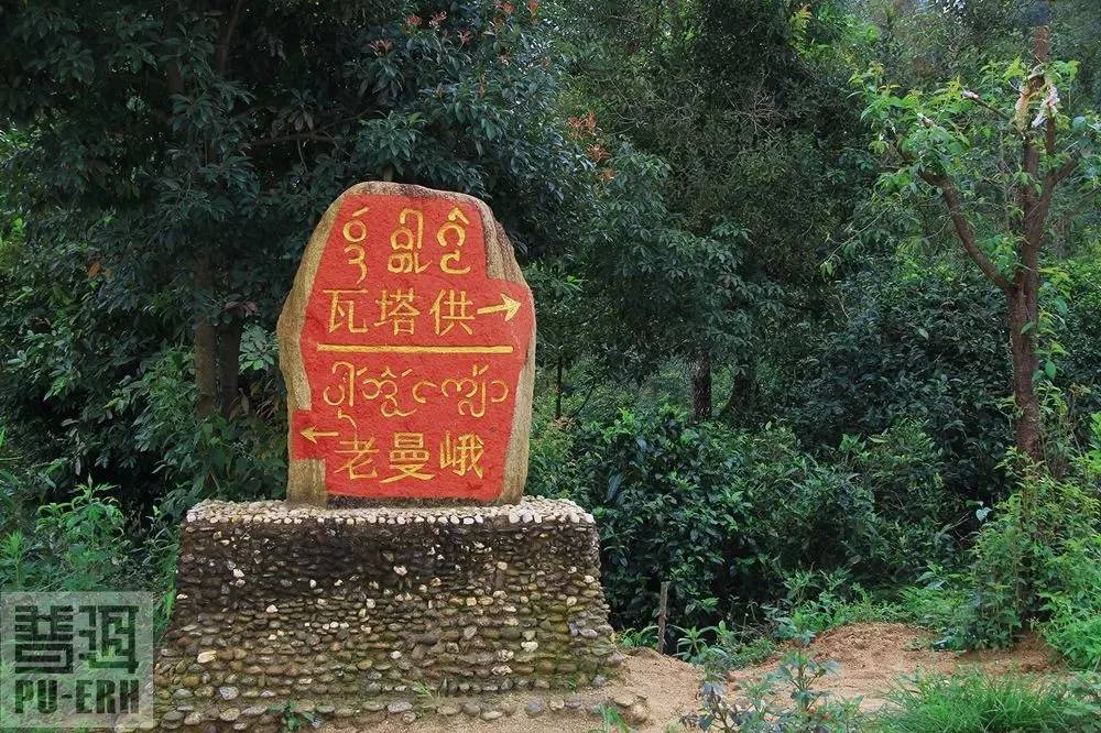 2021年老曼峨古樹秋茶價格多少？