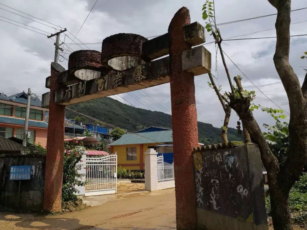 2021年廣別老寨古樹秋茶多少錢一公斤?