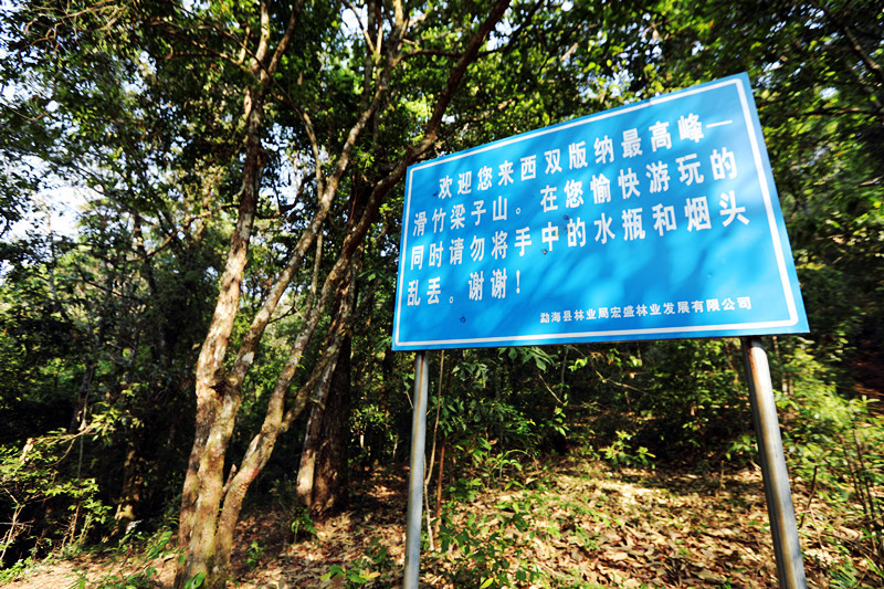 2021年滑竹梁子古樹秋茶價格？