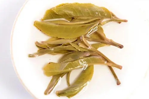 2021年南糯山拔瑪老寨古樹秋茶多少錢一公斤？