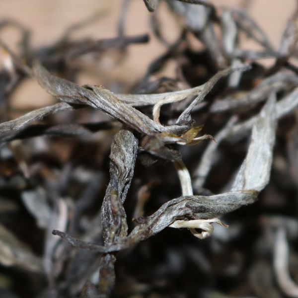 2021年帕沙古樹秋茶，你了解多少？