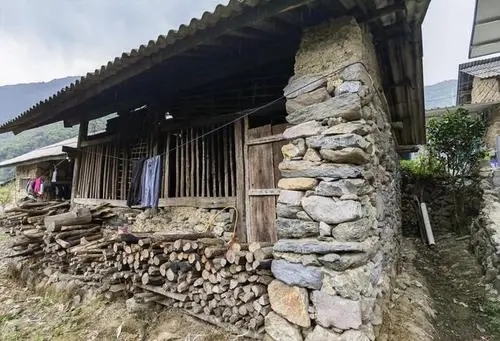 2022年景谷黃草壩古樹(shù)春茶特點(diǎn)是什么？