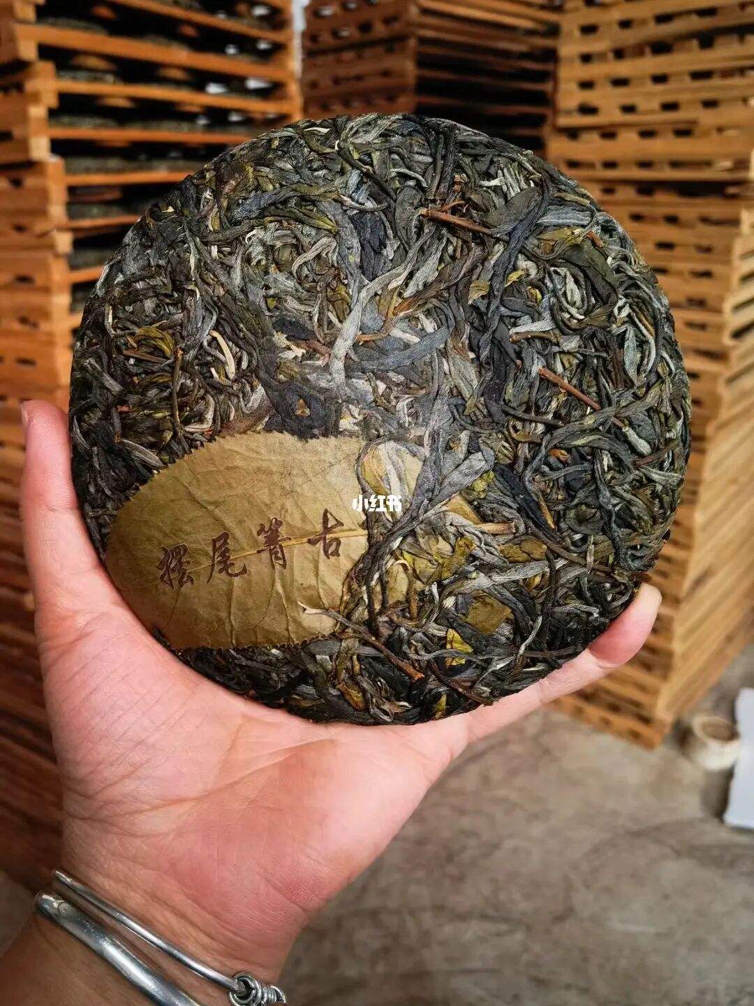 2022年寧洱 擺尾箐古樹春茶價格？