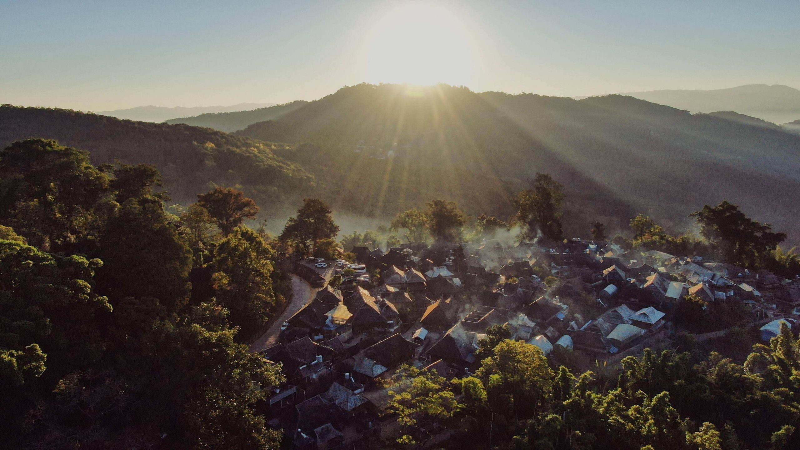 2022年景邁山古樹春茶特點(diǎn)？