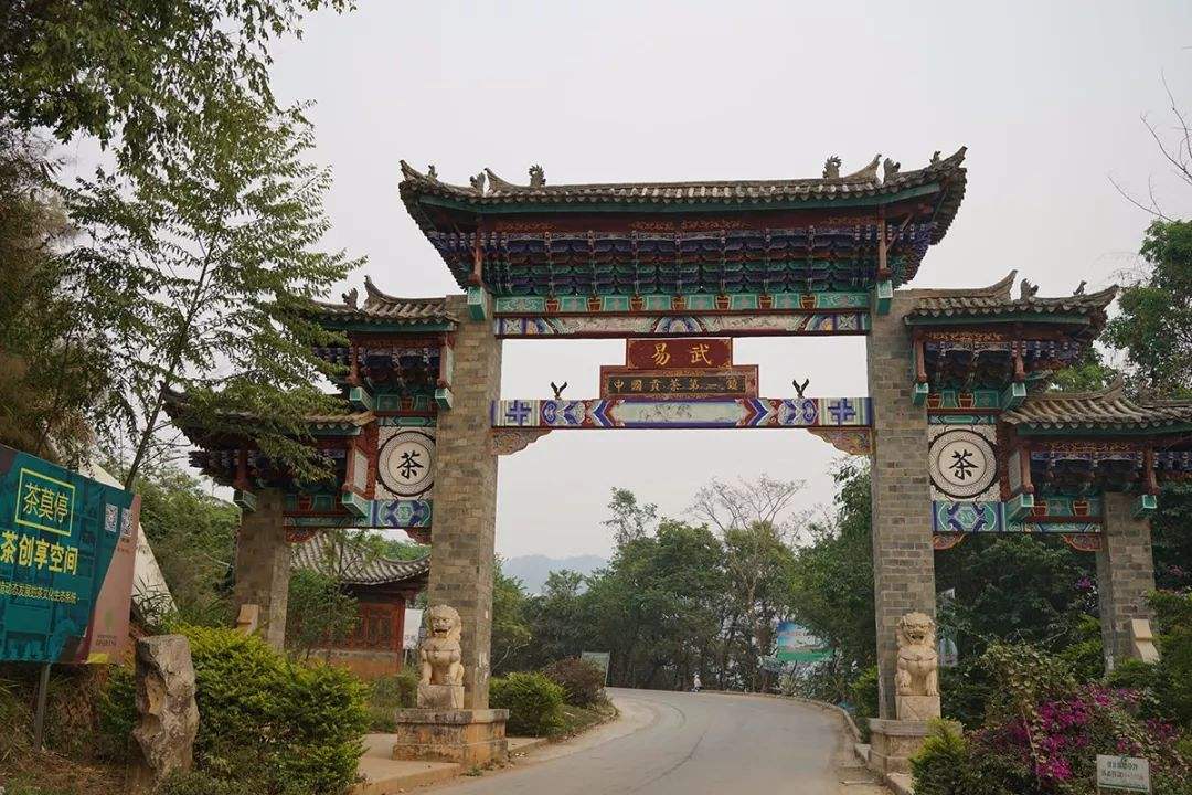 2022年易武正山古樹春茶特點？