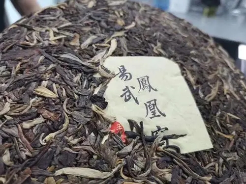 2022年鳳凰窩古樹高桿，鳳凰筑巢的地方