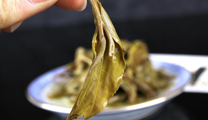 2022年冷水河古樹春茶價格？