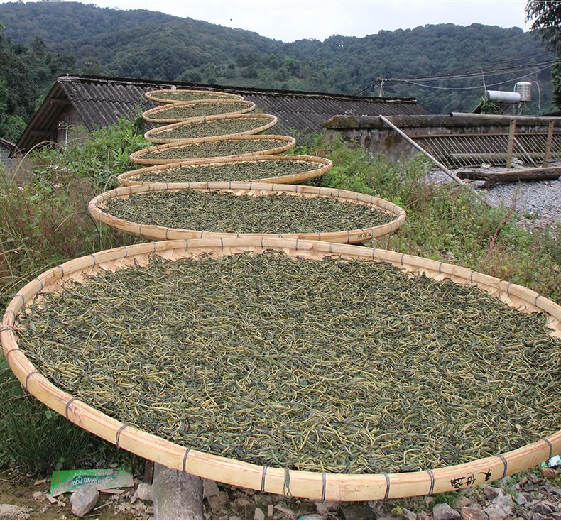 2022年白沙河古樹春茶價(jià)格？