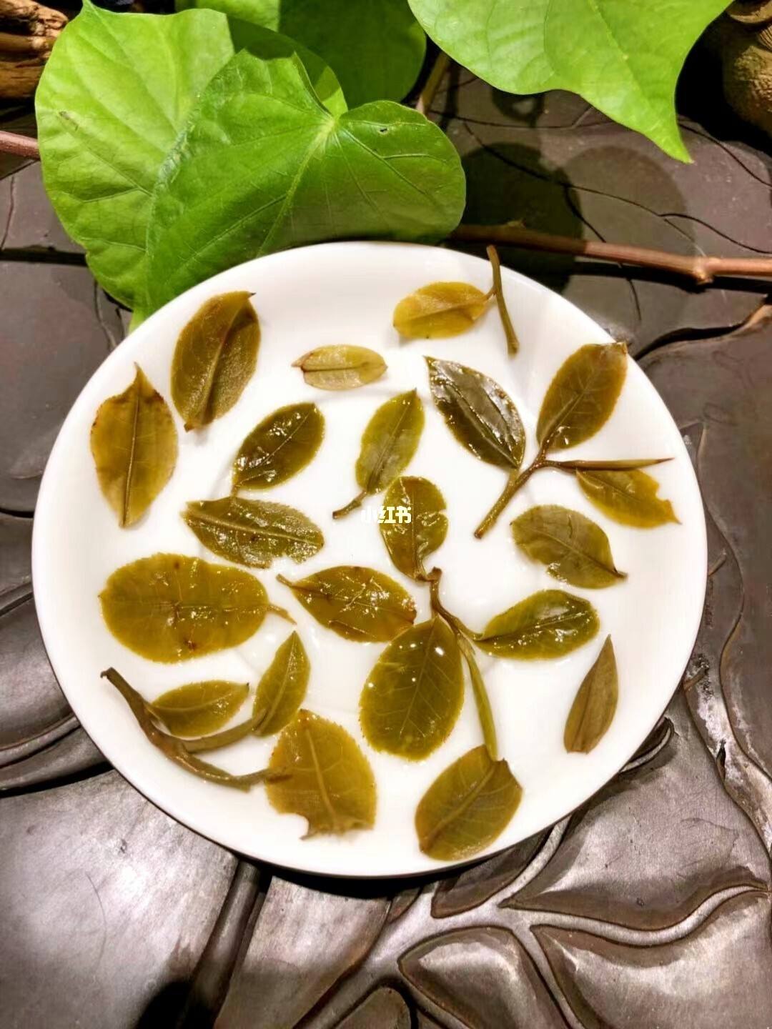 2022年倚邦貓耳朵古樹春茶多少錢一公斤？