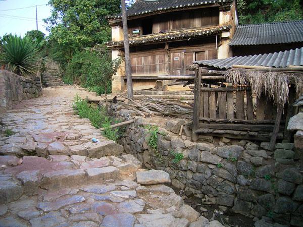 2022年蠻磚古樹春茶特點(diǎn)？