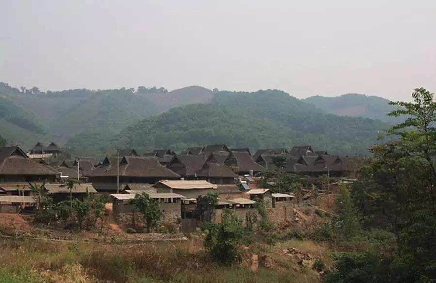 2022年革登古樹春茶特點？