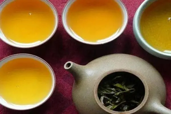 2022年普洱茶怎么泡法才正確？