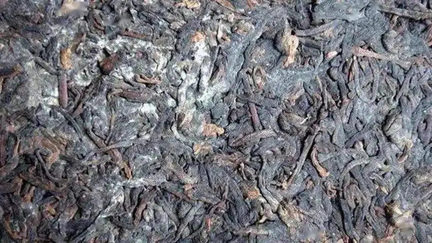 普洱茶怎么樣才算發(fā)霉？